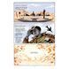 DC: The New Frontier (DC Compact Comics Edition) UAS1771 фото 7