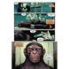 Planet of the Apes: Fall of Man UAS1723 фото 7