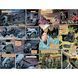 Teenage Mutant Ninja Turtles: The Last Ronin - Lost Years UAS1417 фото 6